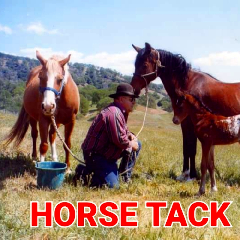 Silver Bits, Silver Western Headstalls, Silver Show Halters,